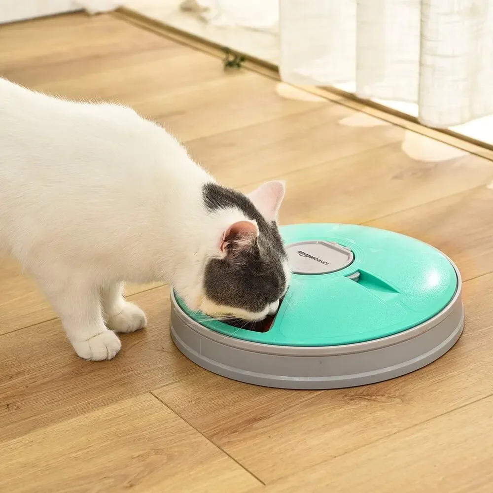Amazon Basics Automatic Electronic Timed Pet Feeder - 6 Portions, Teal